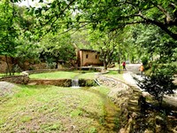 Türkoğlu İlçemiz 